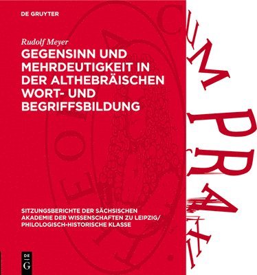 bokomslag Gegensinn Und Mehrdeutigkeit in Der Althebräischen Wort- Und Begriffsbildung