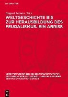 bokomslag Weltgeschichte Bis Zur Herausbildung Des Feudalismus. Ein Abriss