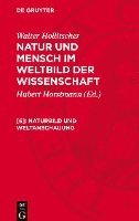 bokomslag Naturbild Und Weltanschauung: Nmww-B