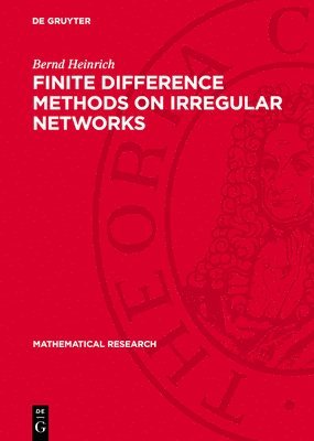 bokomslag Finite Difference Methods on Irregular Networks
