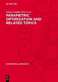 bokomslag Parametric Optimization and Related Topics