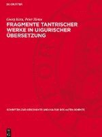 bokomslag Fragmente Tantrischer Werke in Uigurischer Übersetzung