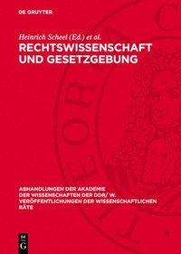 bokomslag Rechtswissenschaft Und Gesetzgebung