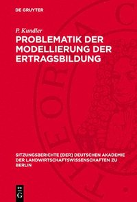 bokomslag Problematik Der Modellierung Der Ertragsbildung