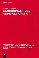 bokomslag Schrödinger Und Seine Gleichung