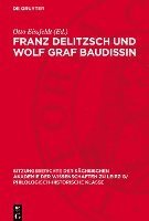 bokomslag Franz Delitzsch Und Wolf Graf Baudissin: Dokumente Über Die Anfänge Ihrer Freundschaft Aus Dem Erlanger Wintersemester 1866/67