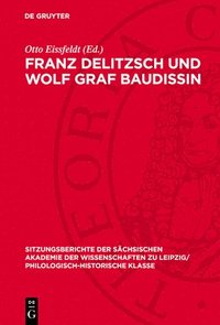 bokomslag Franz Delitzsch Und Wolf Graf Baudissin: Dokumente Über Die Anfänge Ihrer Freundschaft Aus Dem Erlanger Wintersemester 1866/67