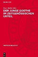 bokomslag Der Junge Goethe Im Zeitgenössischen Urteil