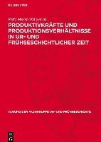 bokomslag Produktivkräfte Und Produktionsverhältnisse in Ur- Und Frühseschichtlicher Zeit