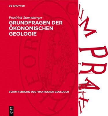 bokomslag Grundfragen Der Ökonomischen Geologie