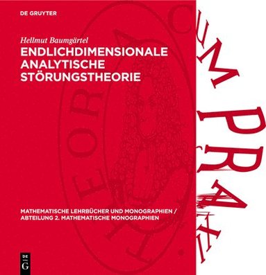 bokomslag Endlichdimensionale Analytische Störungstheorie