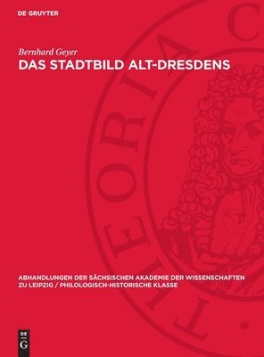 Das Stadtbild Alt-Dresdens