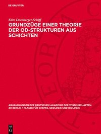 bokomslag Grundzüge einer Theorie der OD-Strukturen aus Schichten
