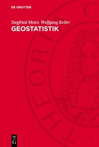 bokomslag Geostatistik