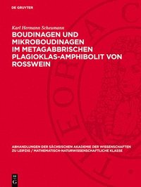 bokomslag Boudinagen und Mikroboudinagen im metagabbrischen Plagioklas-Amphibolit von Rosswein