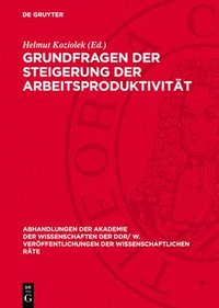 bokomslag Grundfragen Der Steigerung Der Arbeitsproduktivität: Grundfragen Der Steigerung Der Arbeitsproduktivität Bei Der Gestaltung Der Entwickelten Sozialist