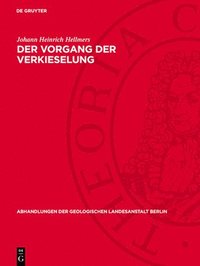 bokomslag Der Vorgang Der Verkieselung