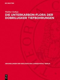 bokomslag Die Unterkarbon-Flora Der Dobrilugker Tiefbohrungen