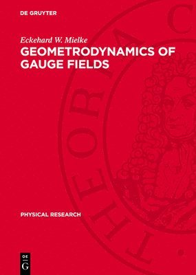 bokomslag Geometrodynamics of Gauge Fields