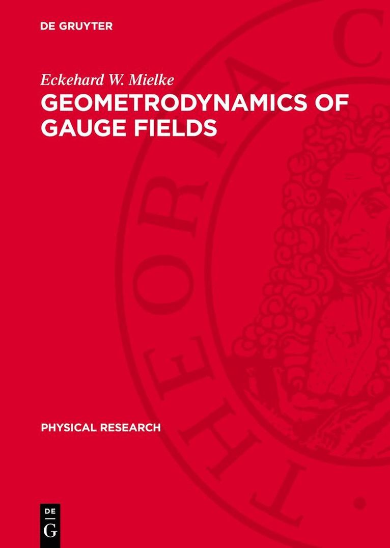 Geometrodynamics of Gauge Fields 1