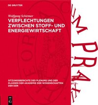 bokomslag Verflechtungen Zwischen Stoff- Und Energiewirtschaft