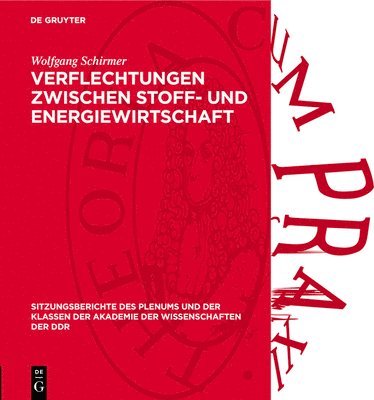 Wolfgang Schirmer - Verflechtungen Zwischen Stoff- Und Energiewirtschaft, Inbunden