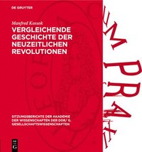 bokomslag Vergleichende Geschichte Der Neuzeitlichen Revolutionen: Methodologische Und Empirische Forschungsprobleme