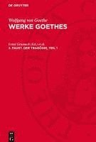bokomslag Werke Goethes, 2. Faust. Der Tragödie, Teil 1