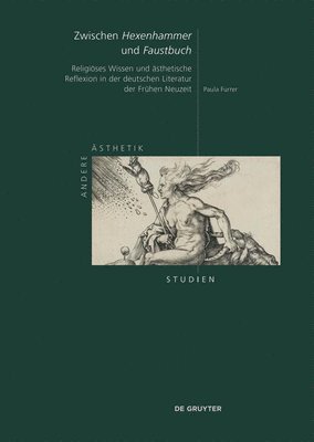 Zwischen "Hexenhammer" Und "Faustbuch": Religiöses Wissen Und Ästhetische Reflexion in Der Deutschen Literatur Der Frühen Neuzeit
