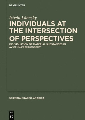 bokomslag Individuals at the Intersection of Perspectives