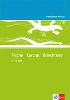 bokomslag Arbeitsblätter Biologie Neu. Fische - Lurche - Kriechtiere. Kopiervorlagen