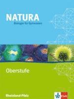 bokomslag Natura - Biologie für Gymnasien - Ausgabe für die Oberstufe. Schülerbuch 11.-13. Schuljahr. Rheinland-Pfalz