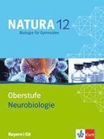 bokomslag Natura - Biologie für Gymnasien Ausgabe für Bayern / G8 / Neurobiologie (5er-Paket) 12. Schuljahr
