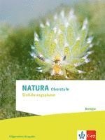 bokomslag Natura Biologie Einführungsphase. Schulbuch Klassen 10 (G8), Klassen 11 (G9)
