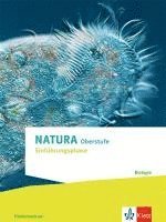 bokomslag Natura Biologie Einführungsphase. Schulbuch Klassen 10 (G8), Klassen 11 (G9). Ausgabe Niedersachsen