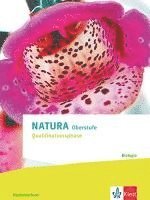 bokomslag Natura Oberstufe Qualifikationsphase. Ausgabe Niedersachsen