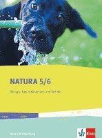 bokomslag Natura Biologie, Naturphänomene und Technik 5./6. Schuljahr. Ausgabe für Baden-Württemberg. Schülerbuch