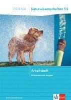 bokomslag PRISMA Naturwissenschaften 5/6. Differenzierende Ausgabe Berlin/Brandenburg
