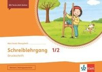 bokomslag Mein Anoki-Übungsheft. Schreiblehrgang Druckschrift 1/2. Übungsheft Klasse 1/2