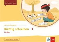 bokomslag Mein Anoki-Übungsheft. Richtig Schreiben 3. Fördern. Klasse 3