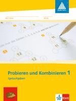 bokomslag Probieren und Kombinieren. 1.Schuljahr. Arbeitsheft