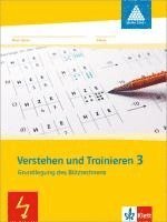 bokomslag Mathe 2000. Verstehen und Trainieren. Schülerarbeitsheft 3. Schuljahr