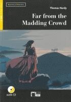 Far from the Madding Crowd 1