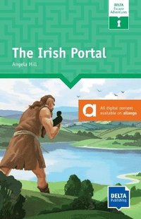 bokomslag Irish Portal
