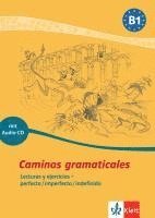 bokomslag Caminos gramaticales B1. Heft und Audio-CD mit Lösungen