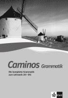 bokomslag Caminos plus 1/2. Grammatik