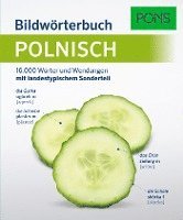 bokomslag PONS Bildwörterbuch Polnisch