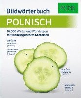 PONS Bildwörterbuch Polnisch 1