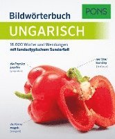 bokomslag PONS Bildwörterbuch Ungarisch