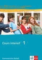 bokomslag Cours intensif Neu 1. Grammatisches Beiheft